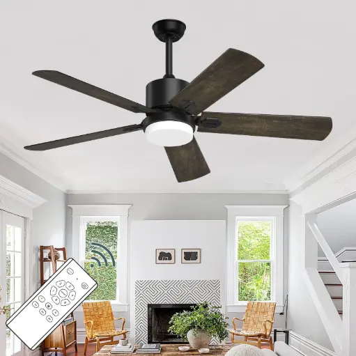 Install Ceiling Fan 